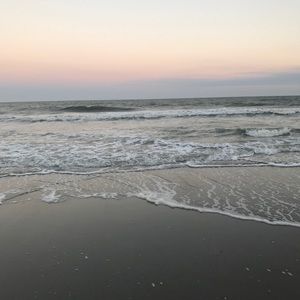 Meet your Posher, Janae